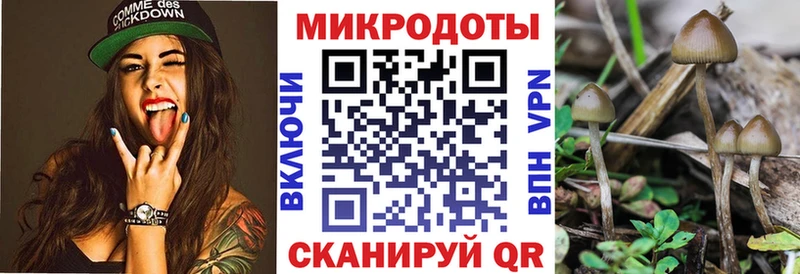 Галлюциногенные грибы GOLDEN TEACHER  где купить наркоту  hydra ТОР  Белогорск 