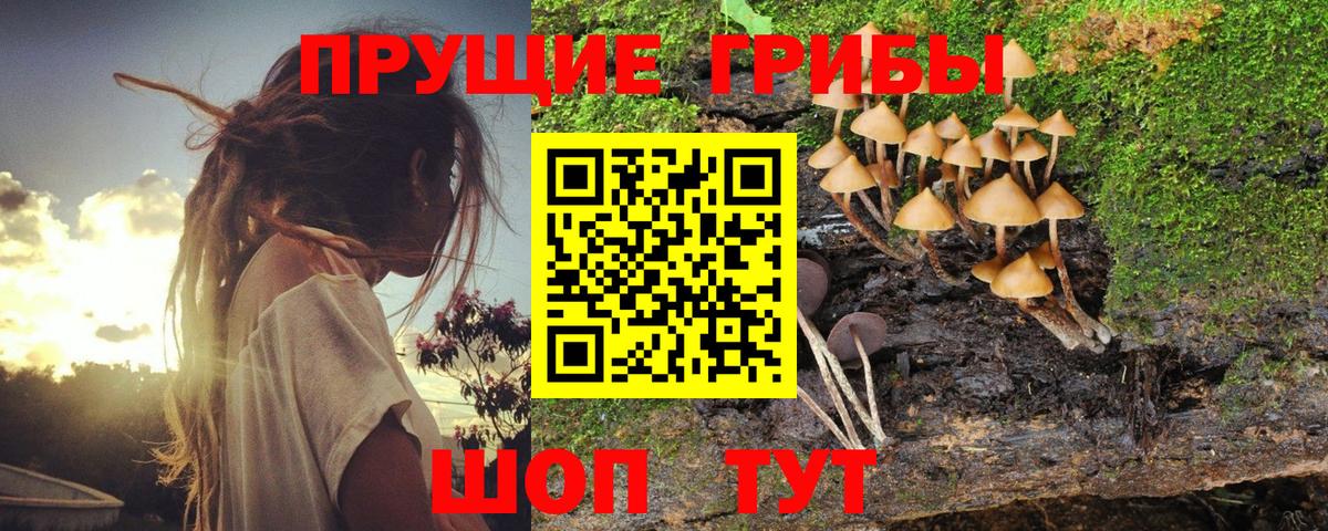 Галлюциногенные грибы мицелий  Вход с VPN  Белогорск 