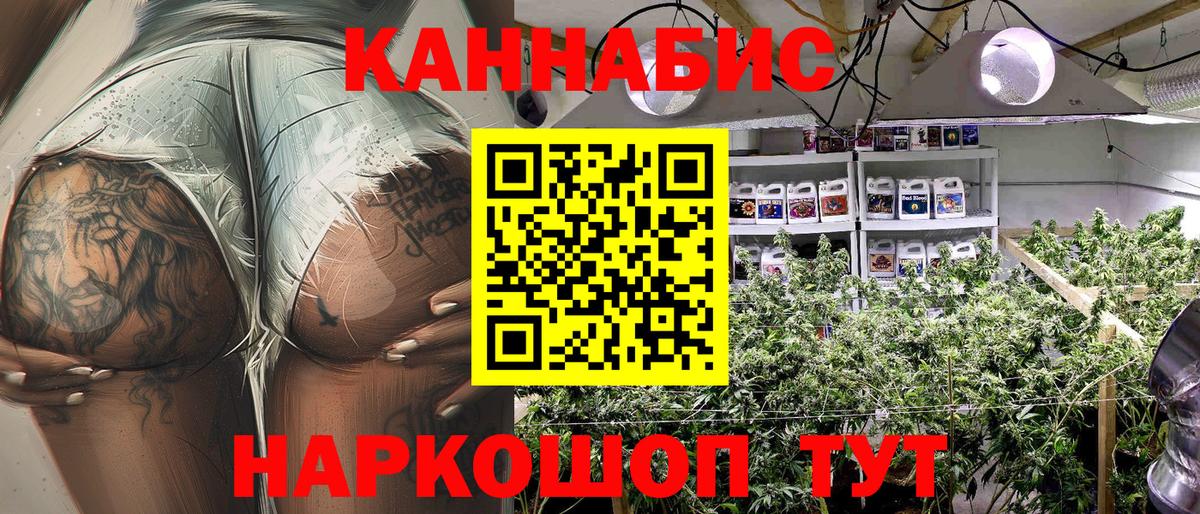 Каннабис OG Kush  Конопля ГИДРОПОН  Вход с VPN  Канабис семена  Конопля Bruce Banner  Белогорск 